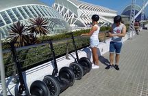Private Valencia Beach Segway Tour