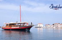 Dolphin Sightseeing in Poreč