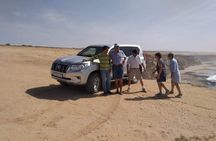 National Park Souss Massa 1/2 Day Trip From Taghazout