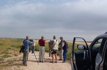 National Park Souss Massa 1/2 Day Trip From Taghazout
