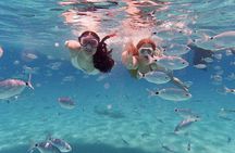 Island-Hopping, Swimming & Snorkeling SpeedBoat Tour from Zadar