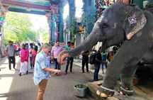 Full Day Guided Tour of Pondicherry with lunch and hotel pickup