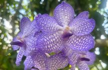 Puerto Vallarta Botanical Garden Tour with University Biologist