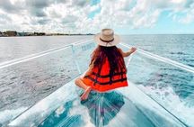 Cancun Combo: ATV Jungle Adventure & Glass Boat Tour 