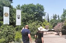 Vergina and Thessaloniki Private Day Tour with Pickup