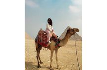 Giza Pyramids & Grand Egyptian Museum Tour with Guide & Tickets