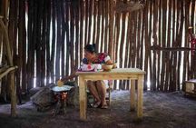 Coba, Hidden Cenote and Mayan Family Lunch - Private Tour