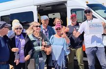 Petrohué Falls Osorno Volcano Pto Varas Sightseeing Driver Only