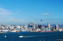 Auckland City Top Spots Half Day Tour(Small Group Tour)