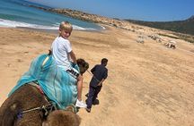 Private full Day Tour In Tangier Includlng camel ride