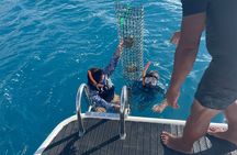 Discover the black pearl in Bora Bora
