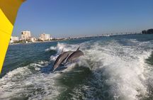 Orlando: Clearwater Beach, Dolphin Cruise Small Group Max 14 Tour