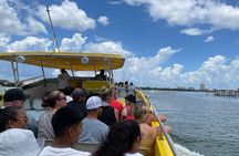 Orlando to Clearwater Dolphin Watch Gulf of America Small Group