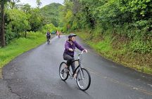 Downhill Bike and Ko'olau Waterfall Hike Tour 