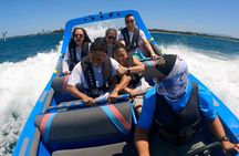 Gold Coast & Surfers Paradise - Parasail & V8 Jetboat Combo