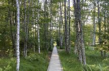 The Way Life Should Be: 4-hr, Private Guided Tour of Acadia NP.