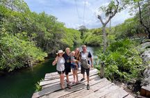 Private Tour Turtles Coral Reef Cenote Beach All inclusive 