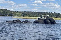 The Chobe Safari Day trip from Livingstone 