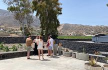 Santorini Private Tour for Wine Enthusiasts