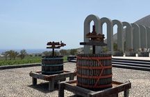 Santorini Private Tour for Wine Enthusiasts