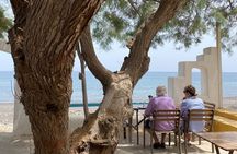 Santorini Private Tour for Wine Enthusiasts