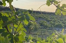 Private Sunset Wine Tour – Caldera Views & Premium Tastings