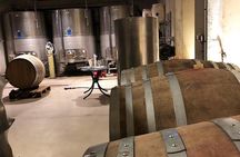 Visit to the Faugères Vineyards with Picnic from Béziers