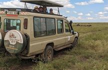 2 Day Tanzania Safari Tarangire and Ngorongoro Crater Adventure