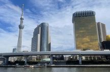 Private Tokyo Tour with Local Guide