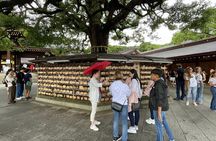 Private Tokyo Tour with Local Guide
