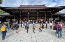 Private Tokyo Tour with Local Guide