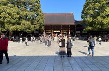 Private Tokyo Tour with Local Guide