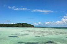 Public Paradise in Saona Relaxation and Adventure on Dream Beaches