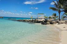 Public Paradise in Saona Relaxation and Adventure on Dream Beaches