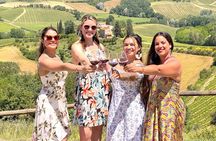 Tuscany Wine Tour: 2 Wineries & San Gimignano from Florence