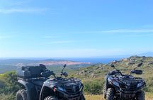 Santa Teresa di Gallura: 3-hour quad bike tour