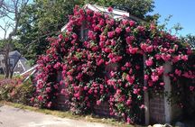Historical Tour of Nantucket