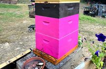 Promise Land Bee Farm Private Tour in Charleston