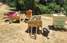 Promise Land Bee Farm Private Tour in Charleston