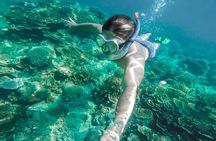 Cala Gonone Snorkeling in the Orosei Gulf