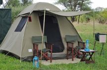 3 Days Group Camping Tour in Tarangire, Ngorongoro & Manyara