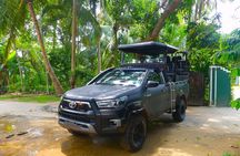 Full Day Shared Safari at Yala National Park by Yala La Safari Tours