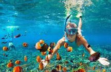 Private Montego Bay Snorkeling Tour with Boat Ride & Transport