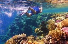 Private Montego Bay Snorkeling Tour with Boat Ride & Transport