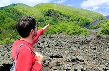 Etna Morning Tour (starting from Catania)