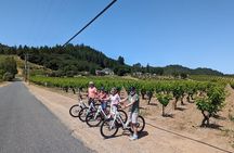 Guided Electric Bike Wine Tour Through Sonoma County
