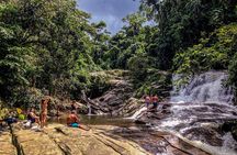 Waterfall Jungle Jeep Adventure and Cachaca Tour from Paraty