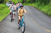 Downhill Bike and Ko'olau Waterfall Hike Tour 