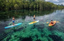 Merritts Mill Pond Eco Adventure