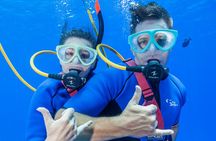 Four Winds Maui Afternoon Snorkel Tour to Coral Gardens 